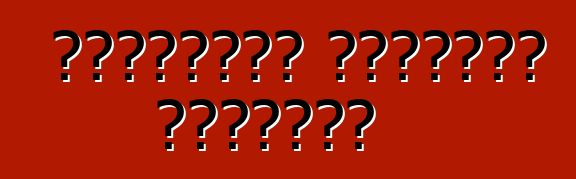 السيارات الصينية الشعبية