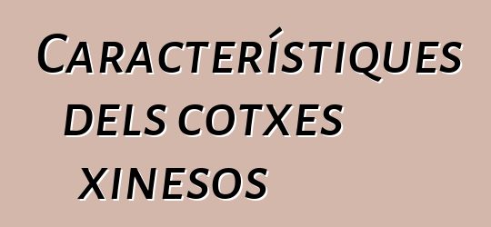 Característiques dels cotxes xinesos