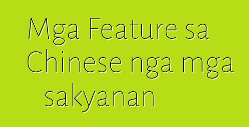 Mga Feature sa Chinese nga mga sakyanan
