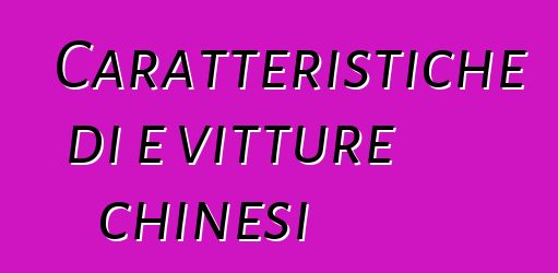 Caratteristiche di e vitture chinesi