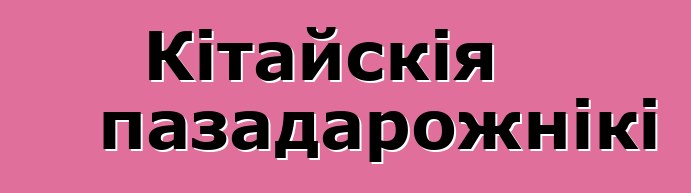 Кітайскія пазадарожнікі