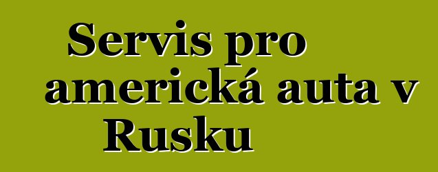 Servis pro americká auta v Rusku