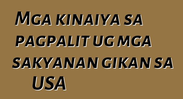 Mga kinaiya sa pagpalit ug mga sakyanan gikan sa USA