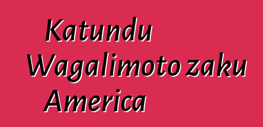 Katundu Wagalimoto zaku America