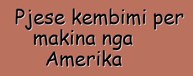 Pjese kembimi per makina nga Amerika