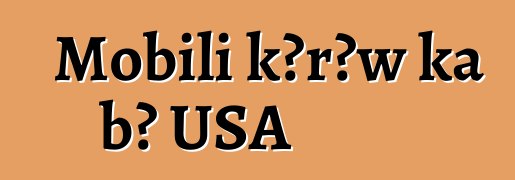 Mobili kɔrɔw ka bɔ USA