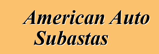 American Auto Subastas