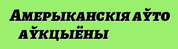 Амерыканскія аўто аўкцыёны