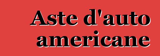 Aste d'auto americane