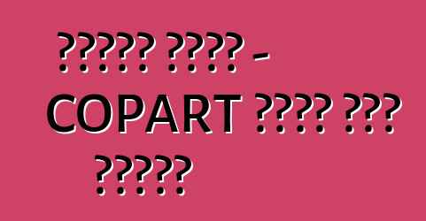 የተበላሹ መኪኖች - COPART የመኪና ጨረታ በአሜሪካ