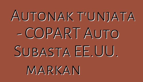 Autonak t'unjata - COPART Auto Subasta EE.UU. markan