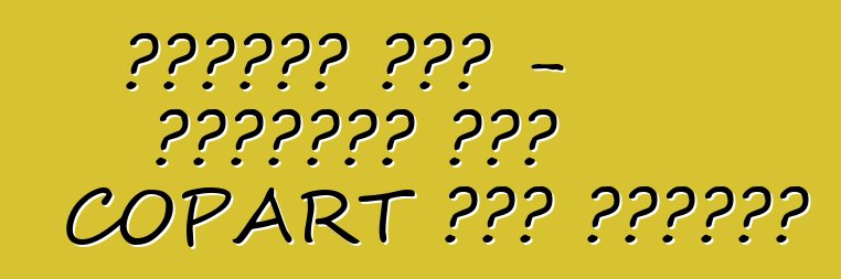 ध्वस्त कार - अमेरिका में COPART ऑटो नीलामी