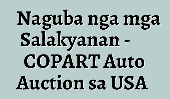 Naguba nga mga Salakyanan - COPART Auto Auction sa USA