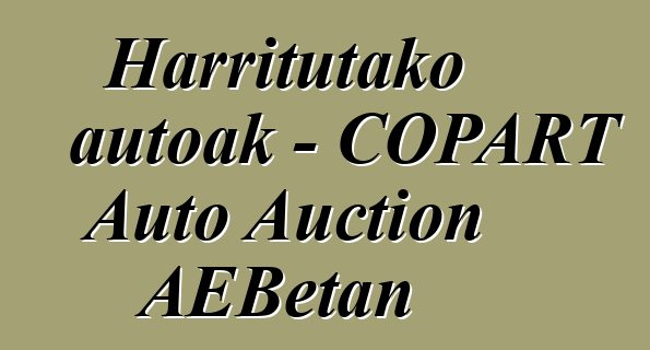 Harritutako autoak - COPART Auto Auction AEBetan
