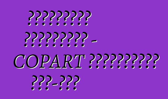 Խորտակված մեքենաներ - COPART ավտոաճուրդ ԱՄՆ-ում