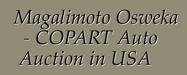 Magalimoto Osweka - COPART Auto Auction in USA