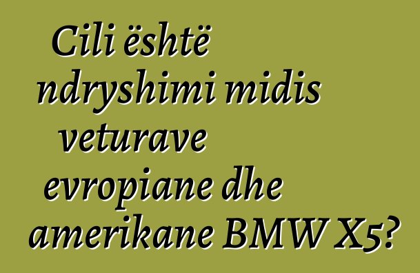 Cili është ndryshimi midis veturave evropiane dhe amerikane BMW X5?
