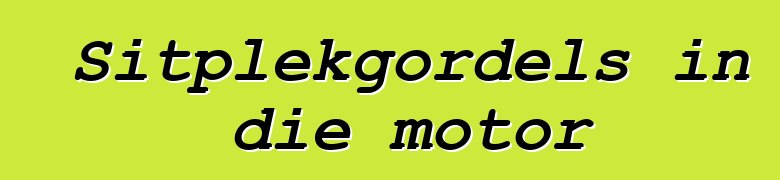 Sitplekgordels in die motor