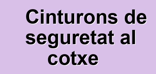 Cinturons de seguretat al cotxe