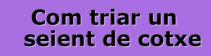 Com triar un seient de cotxe