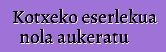Kotxeko eserlekua nola aukeratu
