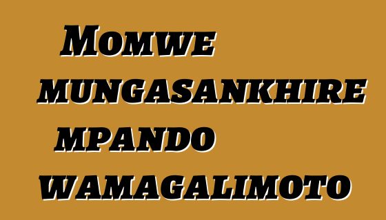 Momwe mungasankhire mpando wamagalimoto