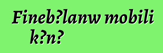 Fiɲɛbɔlanw mobili kɔnɔ