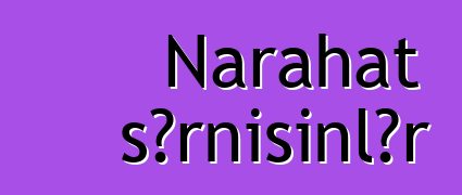 Narahat sərnişinlər