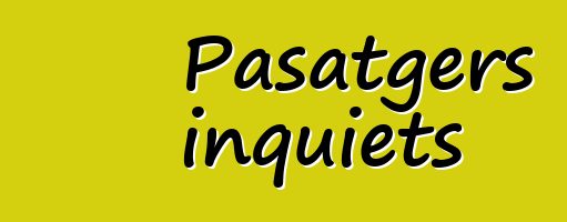 Pasatgers inquiets