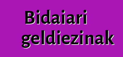 Bidaiari geldiezinak