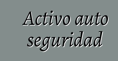 Activo auto seguridad