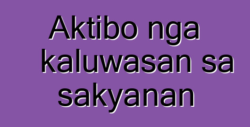 Aktibo nga kaluwasan sa sakyanan