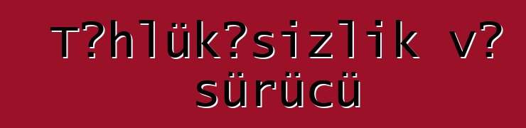 Təhlükəsizlik və sürücü