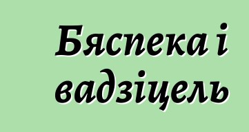 Бяспека і вадзіцель