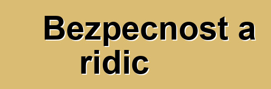 Bezpečnost a řidič