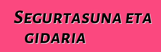 Segurtasuna eta gidaria