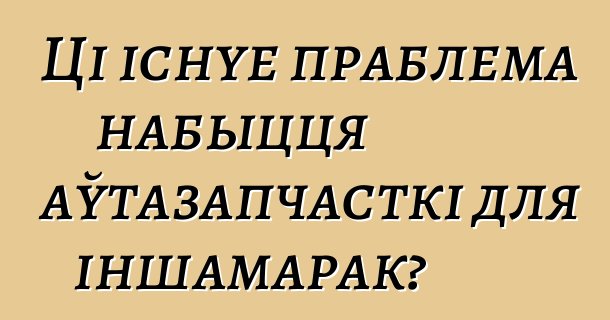 Ці існуе праблема набыцця аўтазапчасткі для іншамарак?