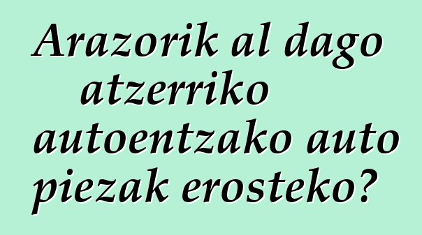 Arazorik al dago atzerriko autoentzako auto piezak erosteko?