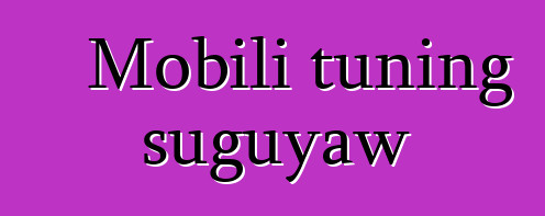 Mobili tuning suguyaw