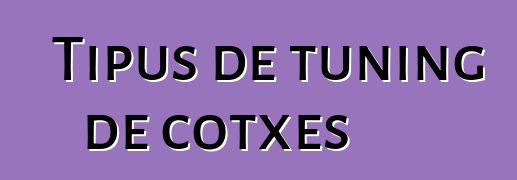 Tipus de tuning de cotxes