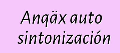 Anqäx auto sintonización
