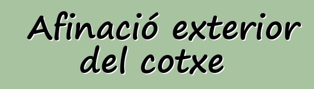 Afinació exterior del cotxe