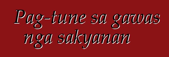 Pag-tune sa gawas nga sakyanan