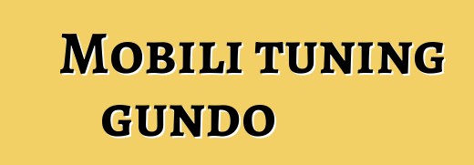 Mobili tuning gundo