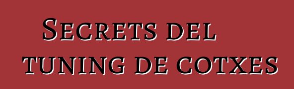 Secrets del tuning de cotxes