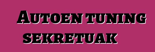 Autoen tuning sekretuak