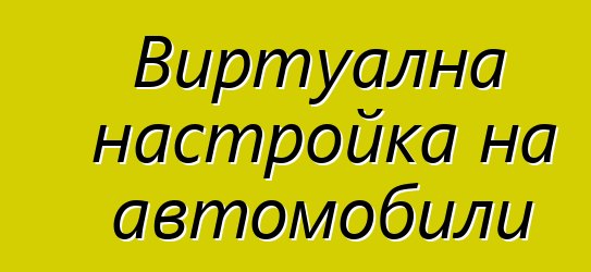 Виртуална настройка на автомобили