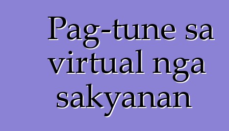Pag-tune sa virtual nga sakyanan