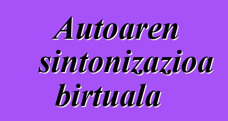 Autoaren sintonizazioa birtuala