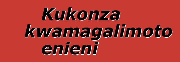 Kukonza kwamagalimoto enieni
